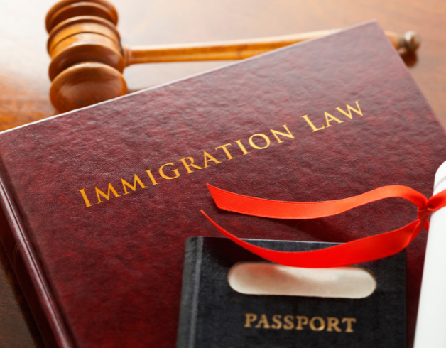 Immigration Law 